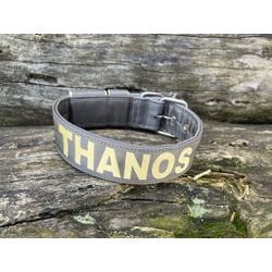 COLEIRA PERSONALIZADA 5cm cinza chumbo com nome em... - PETSPACE