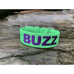 COLEIRA PERSONALIZADA 5cm verde fluorescente com n... - PETSPACE