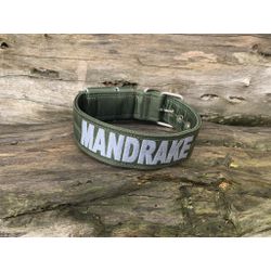 COLEIRA PERSONALIZADA 5cm militar com nome em prat... - PETSPACE