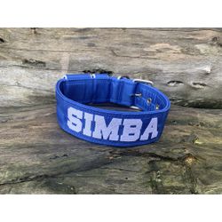 COLEIRA PERSONALIZADA 5cm azul bic com nome em bra... - PETSPACE