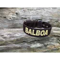 COLEIRA PERSONALIZADA 5cm marrom com nome em doura... - PETSPACE