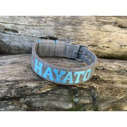 COLEIRA PERSONALIZADA 5cm cinza riscado com nome e... - PETSPACE