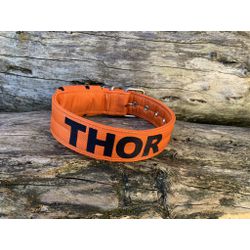 COLEIRA PERSONALIZADA 5cm laranja com nome em pret... - PETSPACE