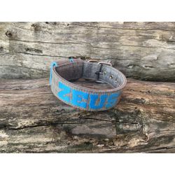 COLEIRA PERSONALIZADA 5cm cinza riscado com nome e... - PETSPACE