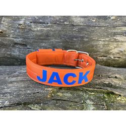 COLEIRA PERSONALIZADA 5cm laranja com nome em azul... - PETSPACE