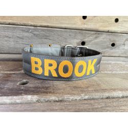 COLEIRA PERSONALIZADA 5cm cinza chumbo com nome em... - PETSPACE