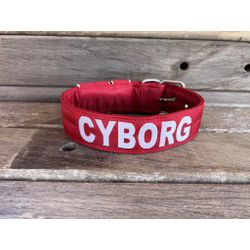 COLEIRA PERSONALIZADA 5cm vermelha com nome em bra... - PETSPACE