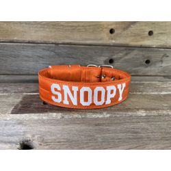 COLEIRA PERSONALIZADA 5cm laranja com nome em bran... - PETSPACE