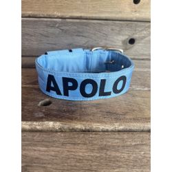 COLEIRA PERSONALIZADA 5cm azul bebê com nome em pr... - PETSPACE