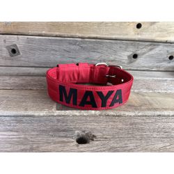 COLEIRA PERSONALIZADA 5cm vermelha com nome em pre... - PETSPACE