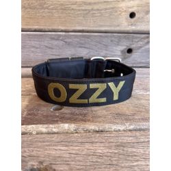 COLEIRA PERSONALIZADA 5cm preta com nome em verde ... - PETSPACE