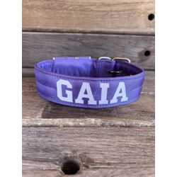 COLEIRA PERSONALIZADA 5cm lilás com nome em branco... - PETSPACE