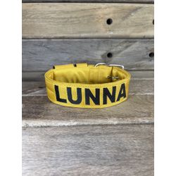 COLEIRA PERSONALIZADA 5cm amarela com nome em pret... - PETSPACE