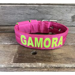 COLEIRA PERSONALIZADA 5cm rosa com nome em verde f... - PETSPACE