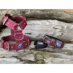 KIT PEITORAL UNIVERSAL, COLEIRA SUPER CONFORT E GU... - PETSPACE