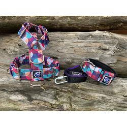 KIT PEITORAL UNIVERSAL, COLEIRA SUPER CONFORT E GU... - PETSPACE