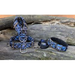KIT PEITORAL UNIVERSAL, COLEIRA SUPER CONFORT E GU... - PETSPACE