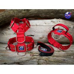 KIT PEITORAL UNIVERSAL, COLEIRA TÁTICA E GUIA DE P... - PETSPACE