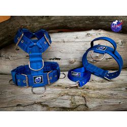 KIT PEITORAL UNIVERSAL, COLEIRA TÁTICA E GUIA DE P... - PETSPACE