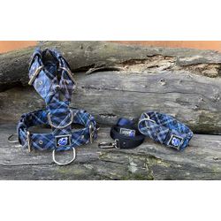 KIT PEITORAL UNIVERSAL, COLEIRA ESTAMPADA E GUIA D... - PETSPACE