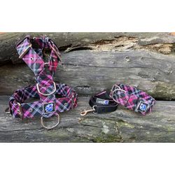 KIT PEITORAL UNIVERSAL, COLEIRA ESTAMPADA E GUIA D... - PETSPACE
