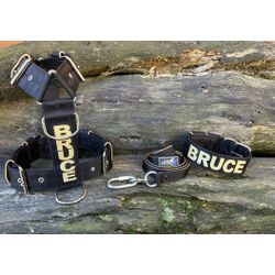 KIT PEITORAL PREMIUM PERSONALIZADO, COLEIRA PERSON... - PETSPACE