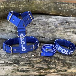 KIT PEITORAL PREMIUM PERSONALIZADO, COLEIRA PERSON... - PETSPACE