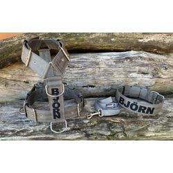 KIT PEITORAL PREMIUM PERSONALIZADO, COLEIRA PERSON... - PETSPACE
