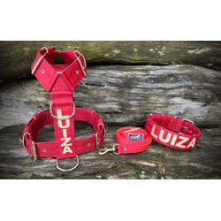 KIT PEITORAL PREMIUM PERSONALIZADO, COLEIRA PERSON... - PETSPACE