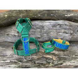 KIT PEITORAL PREMIUM PERSONALIZADO, COLEIRA PERSON... - PETSPACE