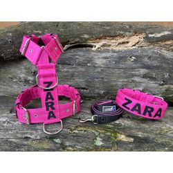 KIT PEITORAL PREMIUM PERSONALIZADO, COLEIRA PERSON... - PETSPACE