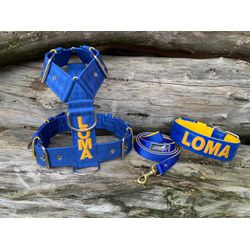 KIT PEITORAL PREMIUM PERSONALIZADO, COLEIRA PERSON... - PETSPACE