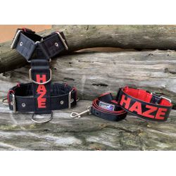 KIT PEITORAL PREMIUM PERSONALIZADO, COLEIRA PERSON... - PETSPACE