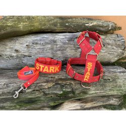 KIT PEITORAL PREMIUM PERSONALIZADO, COLEIRA PERSON... - PETSPACE