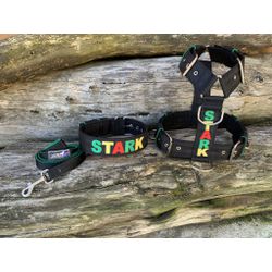 KIT PEITORAL PREMIUM PERSONALIZADO, COLEIRA PERSON... - PETSPACE