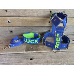 KIT PEITORAL PREMIUM PERSONALIZADO, COLEIRA PERSON... - PETSPACE