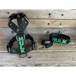 KIT PEITORAL PREMIUM PERSONALIZADO, COLEIRA PERSON... - PETSPACE
