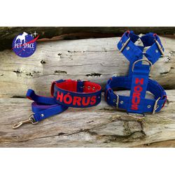 KIT PEITORAL PERSONALIZADO POLIÉSTER COMUM, COLEIR... - PETSPACE