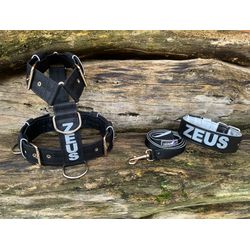 KIT PEITORAL PERSONALIZADO POLIÉSTER COMUM, COLEIR... - PETSPACE