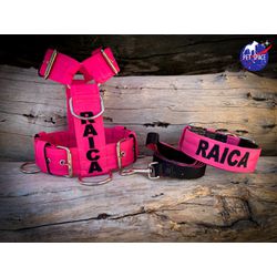 KIT PEITORAL PERSONALIZADO POLIÉSTER COMUM, COLEIR... - PETSPACE