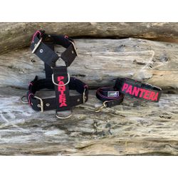 KIT PEITORAL PERSONALIZADO POLIÉSTER COMUM, COLEIR... - PETSPACE