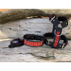 KIT PEITORAL PERSONALIZADO POLIÉSTER COMUM, COLEIR... - PETSPACE