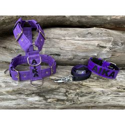 KIT PEITORAL PERSONALIZADO POLIÉSTER COMUM, COLEIR... - PETSPACE