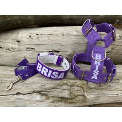 KIT PEITORAL PERSONALIZADO POLIÉSTER COMUM, COLEIR... - PETSPACE
