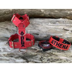 KIT PEITORAL PERSONALIZADO POLIÉSTER COMUM, COLEIR... - PETSPACE
