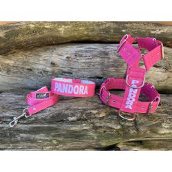 KIT PEITORAL PERSONALIZADO POLIÉSTER COMUM, COLEIR... - PETSPACE