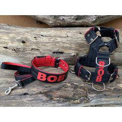 KIT PEITORAL PERSONALIZADO POLIÉSTER COMUM, COLEIR... - PETSPACE