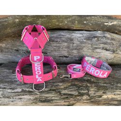 KIT PEITORAL PERSONALIZADO POLIÉSTER COMUM, COLEIR... - PETSPACE