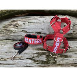 KIT PEITORAL PERSONALIZADO POLIÉSTER COMUM, COLEIR... - PETSPACE