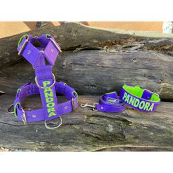 KIT PEITORAL PERSONALIZADO POLIÉSTER COMUM, COLEIR... - PETSPACE